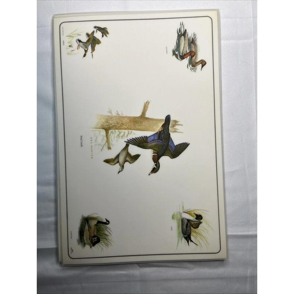 6 Vtg 1969 Placemats & Descriptions Mel Hunter Ducks Mallard Winged Teal 17x11
